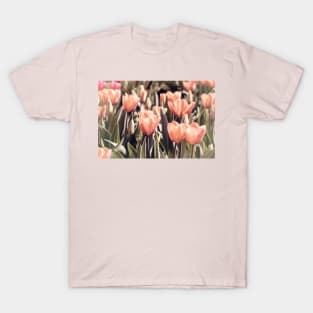 Soft toned colored tulips T-Shirt